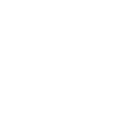 White Suzuki logo