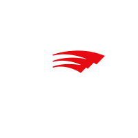 White RollerTeam logo