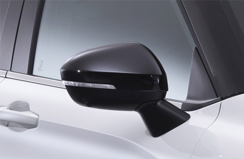 Carbon finished wing mirror cover
